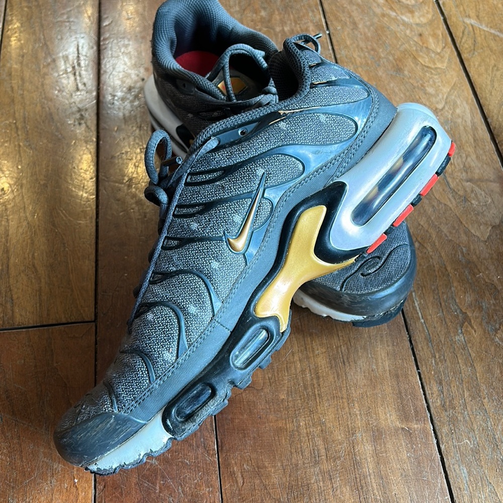 EUC Nike Tn shoe